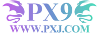 PX9 เว็บตรง ทางเข้าเล่น สล็อต ฝากถอนออโต้
